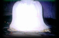 AMARNATH